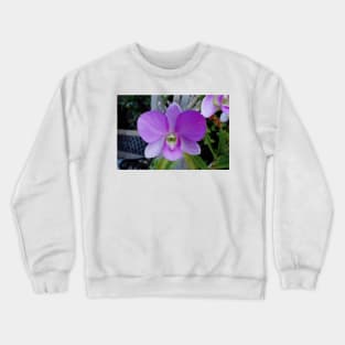 Maui Resort Study 11 Crewneck Sweatshirt